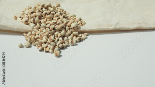 Job's Tears, also known as adlay and coix on calico and white background. Popular in Asian cultures as a food source. photo