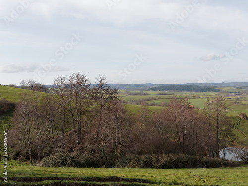 Paysages ruraux d Auvergne. Entre limagne en l Allier et collines  bocages et plaines du Puy-de-D  me. Route D207 entre Chaptuzat  Chantemerle  Saint-Angoulin  Saint-Quintin-sur-Sioule et Ebreuil