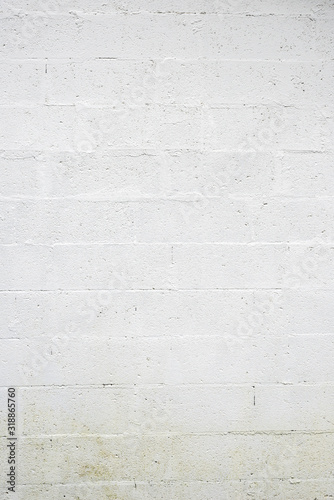 Obraz na plátně White cinderblock texture 1