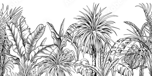 Seamless border with black and white tropical plants.