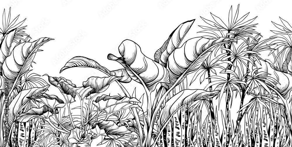Fototapeta Seamless border with big tropical leaves.