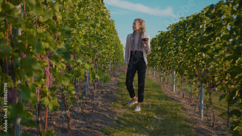 Attractive woman walks the vineyards with glass of red wine smile feel happy organic connecting with nature agriculture sunny travel countryside field grape green rural view tasting slow motion