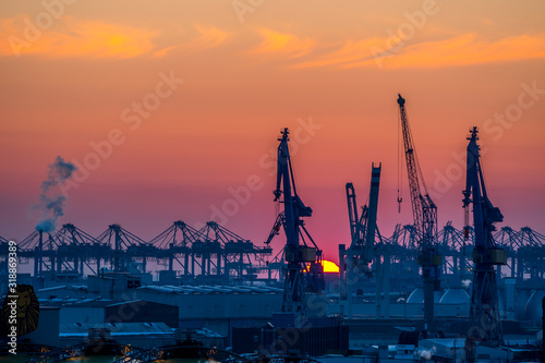 Sonnenuntergang am Containerterminal in Hamburg photo