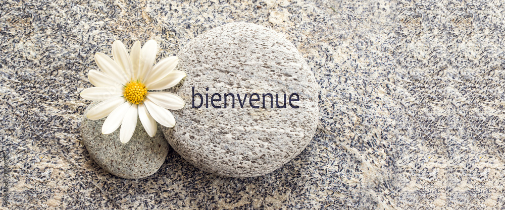 BIENVENUE DEFINITION MEANING visual data 3