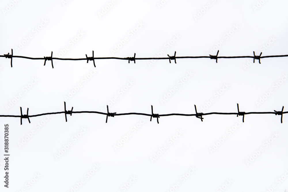 two barbed wire fence on white background. two barbed wire fence on white background.
