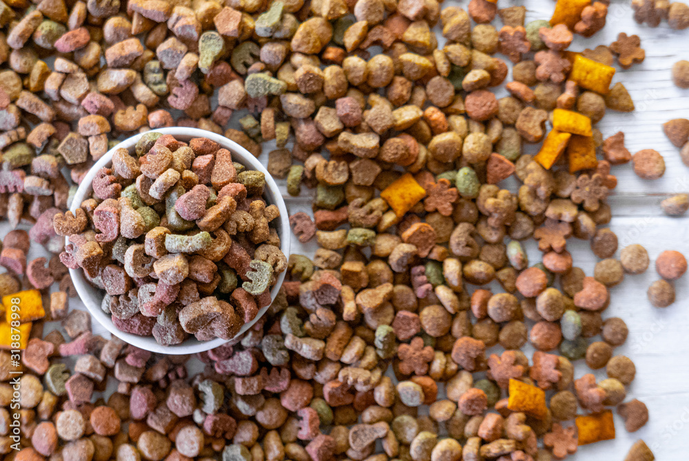 Top view of colorful dry pet food in a white ceramic bowl