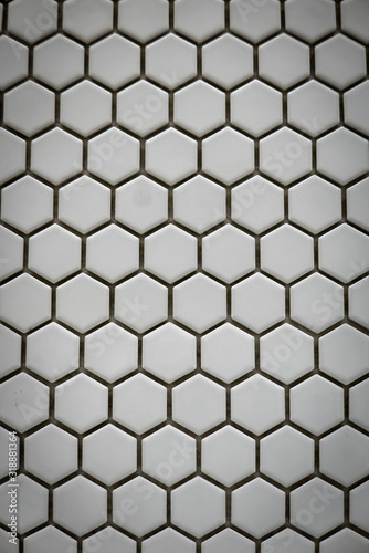 White ceramic cells on the ...