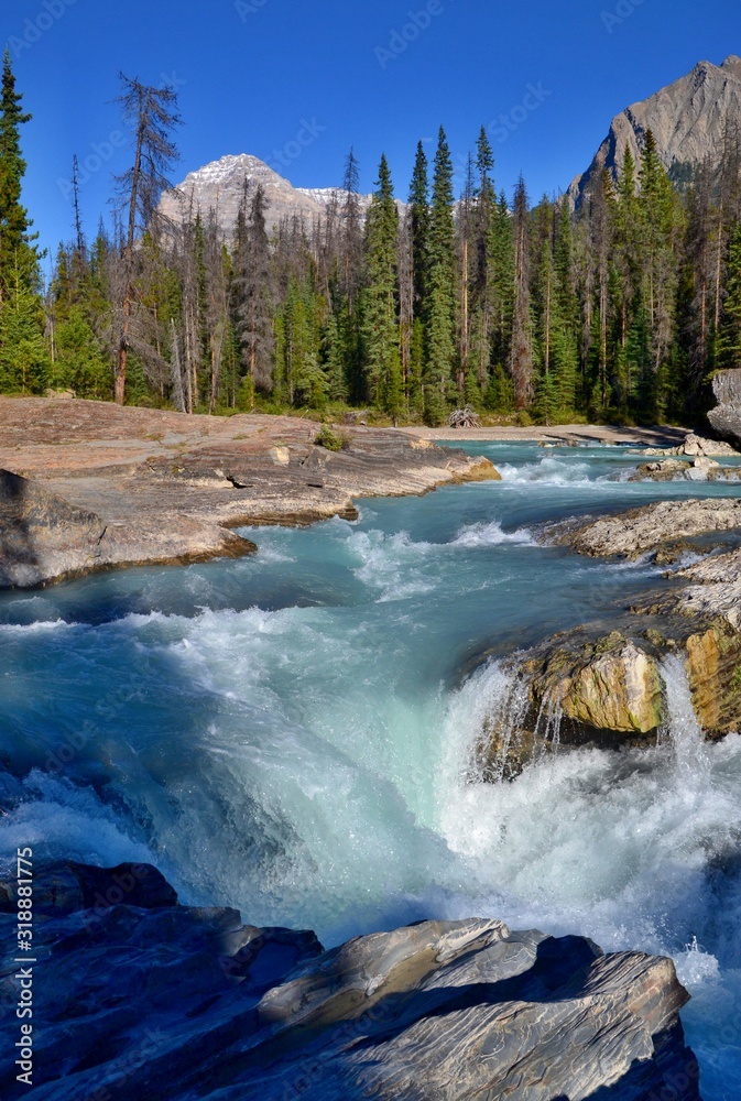 Wild river falls into the rocky riverbed in Yoho National Park, Rocky Mountains, Canada. Beautiful sunny day, trees, high mountains.