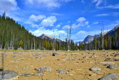 Dry brown land with stones, forest and high mountains in the background. Sunny day, blue sky, white clouds. Canadian Rockies.
