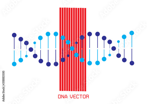 DNA spiral. Adn helix structure, genomic model and human genetics code. Genome alteration, chemistry adn gen research. Vector isolated illustration set