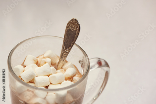 Winter homemade hot drinks chocolate with marshmallow.