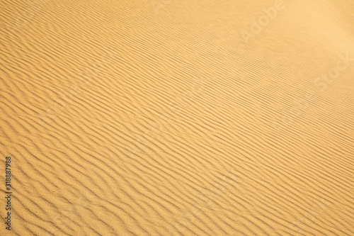 Fine sand texture - Sandy sunny beach for background - Top view - Full frame shot - Close-up sun sand texture on beach in summer – desert dune golden yellow - travel holiday vacation Close up