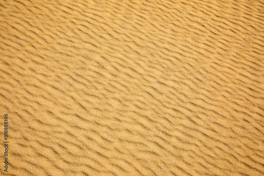 Fine sand texture - Sandy sunny beach for background - Top view - Full frame shot - Close-up sun sand texture on beach in summer – desert dune golden yellow - travel holiday vacation Close up Fine sand texture - Sandy sunny beach for background - Top view - Full frame shot - Close-up sun sand texture on beach in summer – desert dune golden yellow - travel holiday vacation Close up