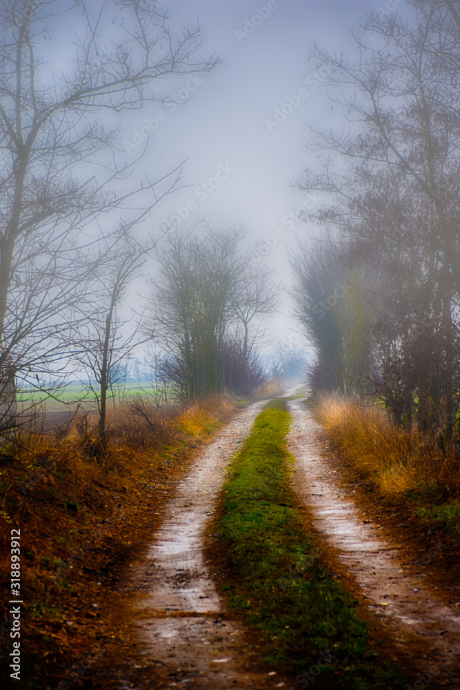 Obraz premium Strada nella nebbia