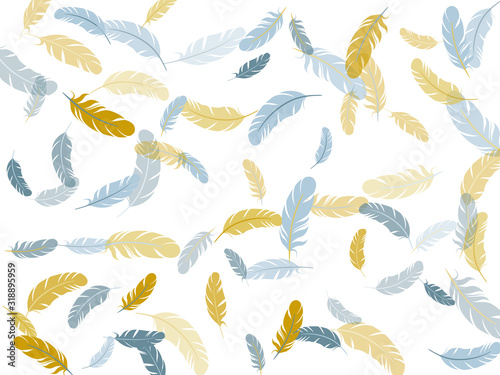 Falling feather elements soft vector design.