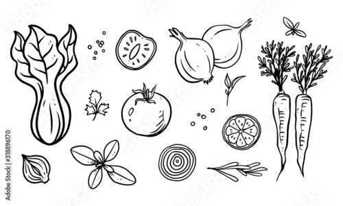 Set of vegetable, fruit & spices hand drawn vector illustration. Healthy food drawn with line art for material design