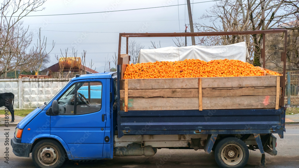 A small truck full of mandarins or tangerines