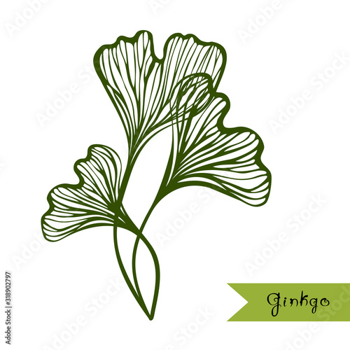 Abstract Ginkgo Biloba leaves with title.