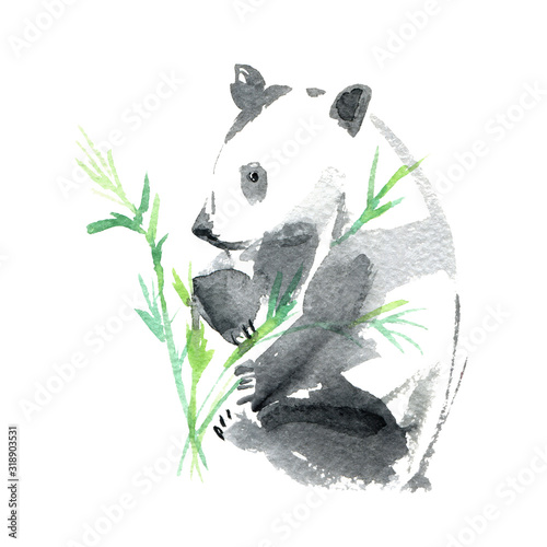 Panda and bamboo.Watercolor hand drawn illustration.White background. 