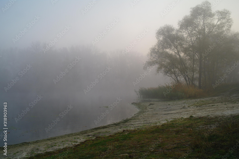 River landscape and autumn wood