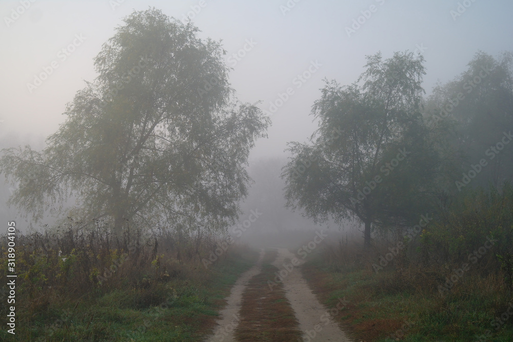 country road in autumn in the mist