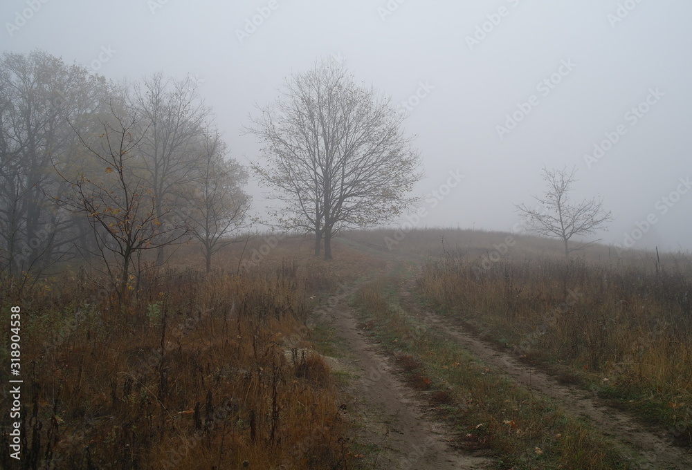 country road in autumn in the mist