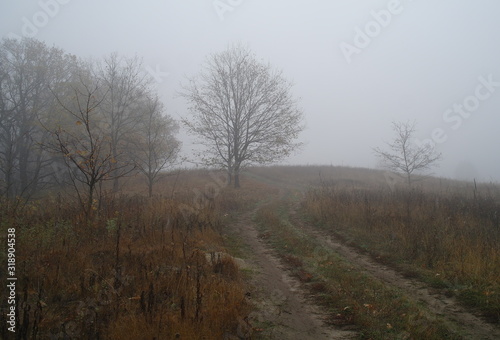Obraz na płótnie country road in autumn in the mist w salonie