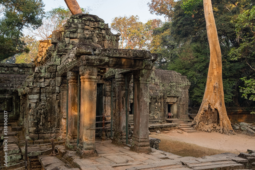 Fototapeta premium Die Tempelanlage Ta Prohm in Kambodscha