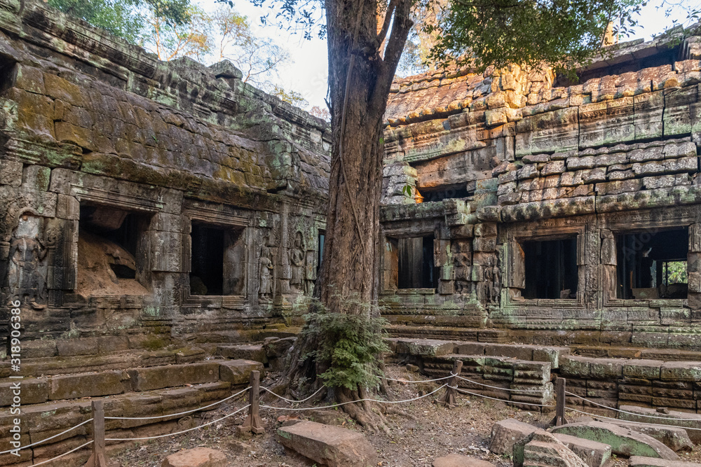 Fototapeta premium Die Tempelanlage Ta Prohm in Kambodscha