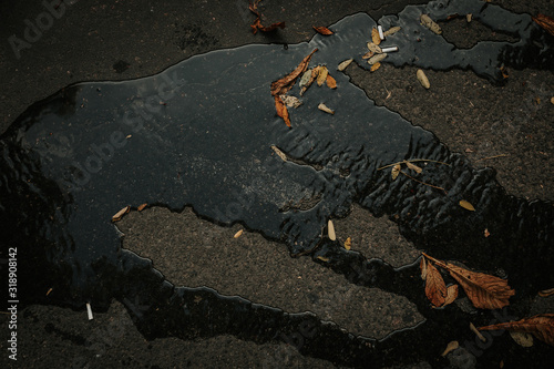 Wet asphalt covered with puddles of water reflecting the sky.