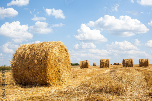 bale straw on the field