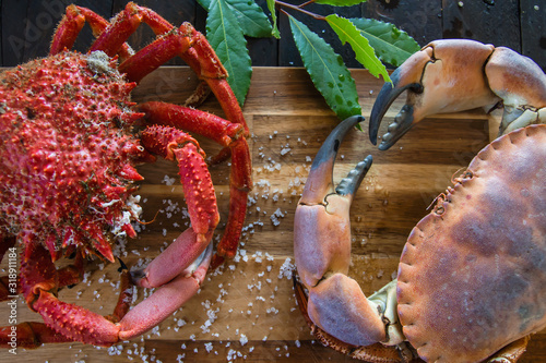 Seafood preparation, spiny spider crab and brown crab on the wooden kitchen board photo