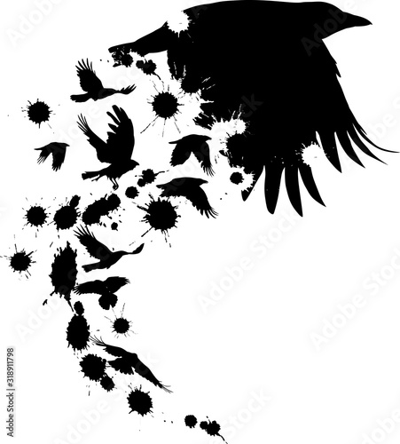 black crow from birds and blots isolated on white