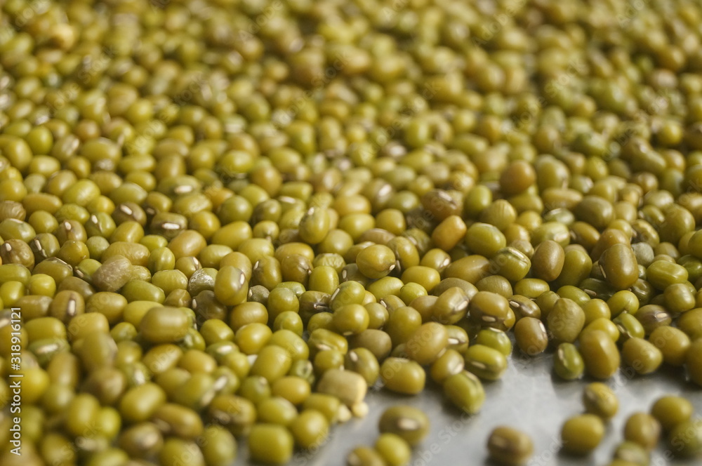 Mung bean Mung bean