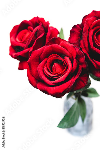 Close up of red roses in the vase