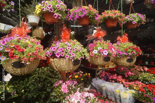 Wallpaper Mural Flower basket Torontodigital.ca