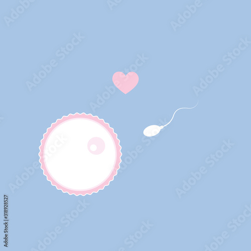 fertility reproduction of ovum and spermatozoon vector illustration EPS10