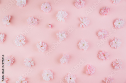 Spring background of painted pink board with branch of flowering cherry branch covered with pink flowers as a border