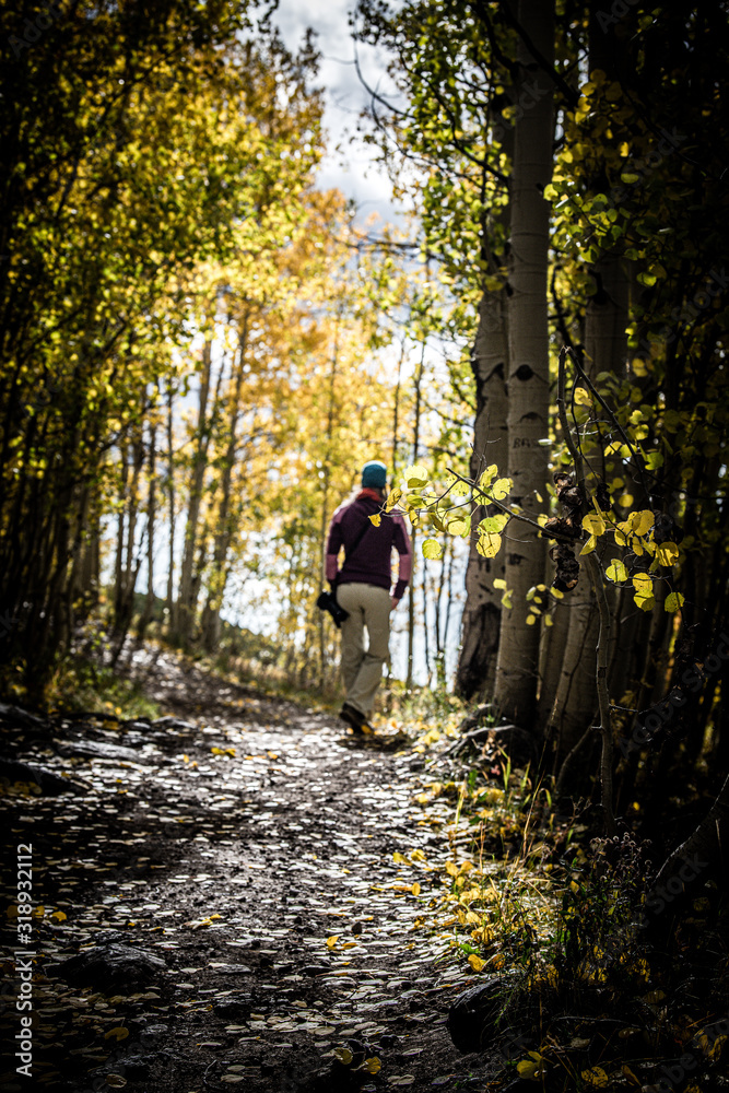 Fototapeta premium autumn walk in the woods