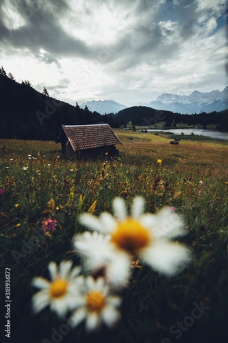 wonderful alpine view with ...