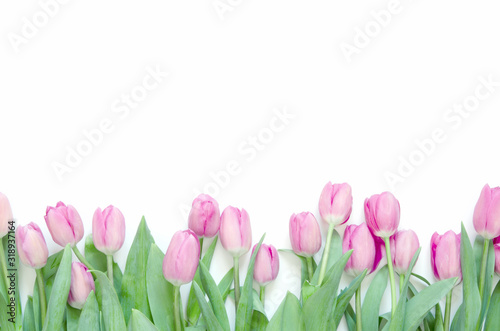 Tulips flowers on white background. Flat lay, top view. Lovely greeting card with tulips for Mother's day, wedding or happy event - Image.