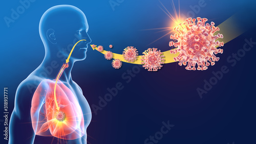 Coronavirus, human coronavirus OC43; lung infection, 3D illustration photo