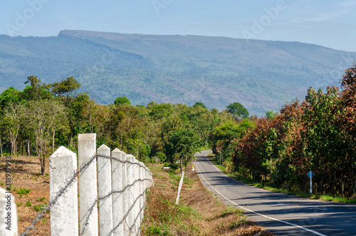 Road Amidst Tree And Thorn Fence Against Sky