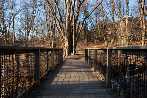 Isolated walkway footpath. Isolated walkway bridge in nature. Wilderness nature path. Wooded path. Abstract nature art. Outdoors art and design. Minimal art and artistic view. Lonely path in forest.