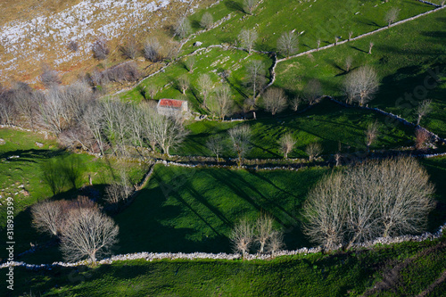 Fototapeta Naklejka Na Ścianę i Meble -  Miera River Valley, Cantabria, Spain, Europe