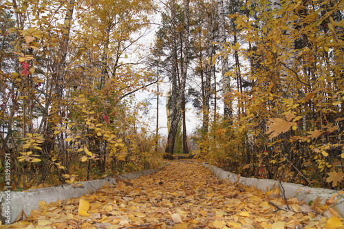 autumn in the park