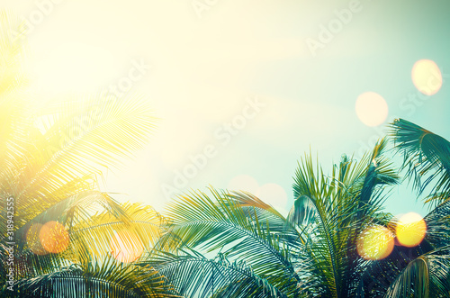 Tropical palm tree with colorful bokeh sun light on sunset sky cloud abstract background. photo