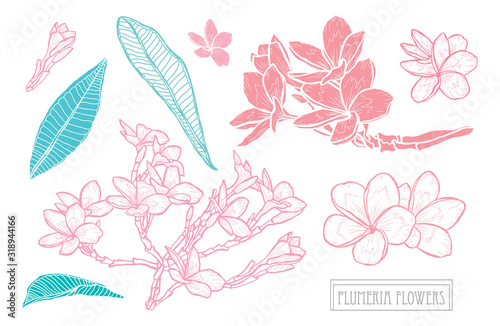 hand drawn floral decoration