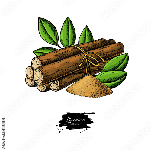 Licorice root bunch with leaves. Vector drawing. Botanical illustration