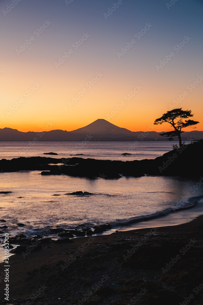 Fototapeta premium 富士山 （立石公園から）
